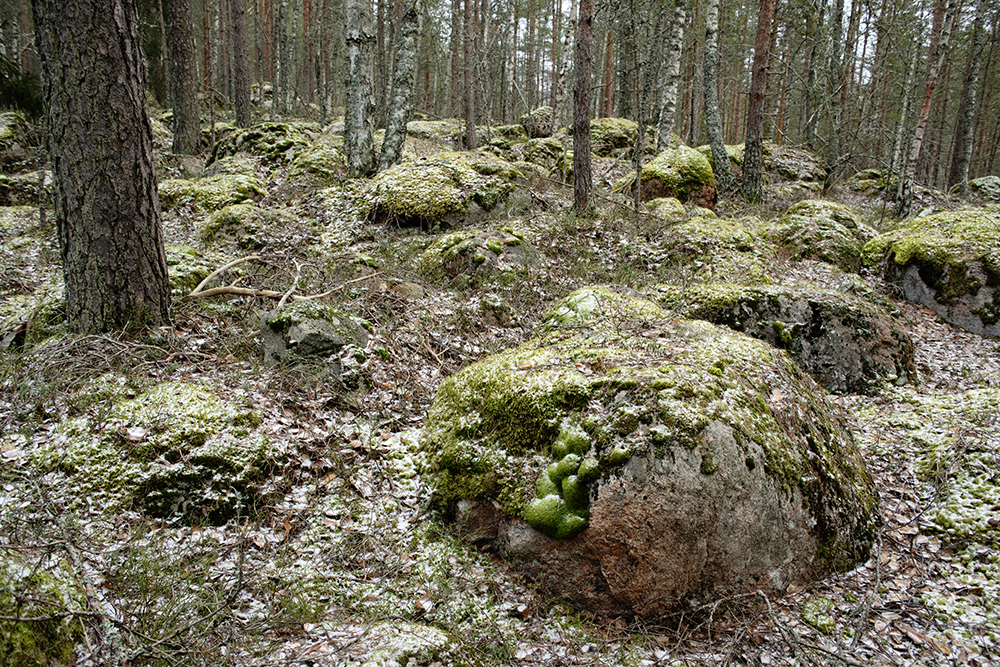 Mist Lohjalaiset Ovat Tulleet Matti Pirhonen Mist Lohjalaiset Ovat Tulleet Matti Pirhonen